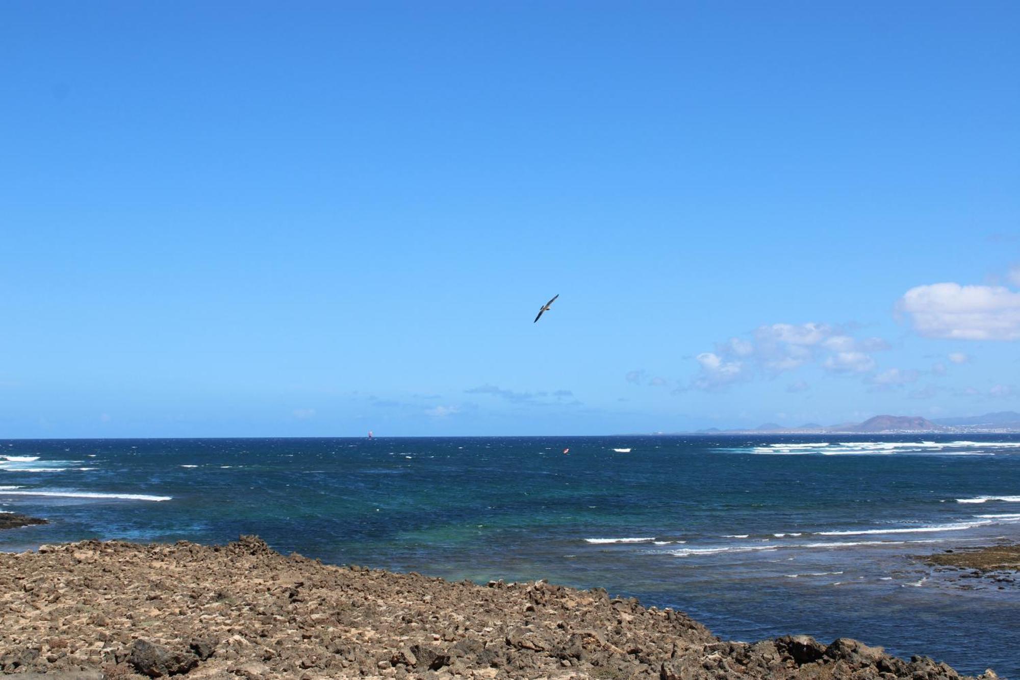 La Maresia By Sea You There Fuerteventura Majanicho Luaran gambar